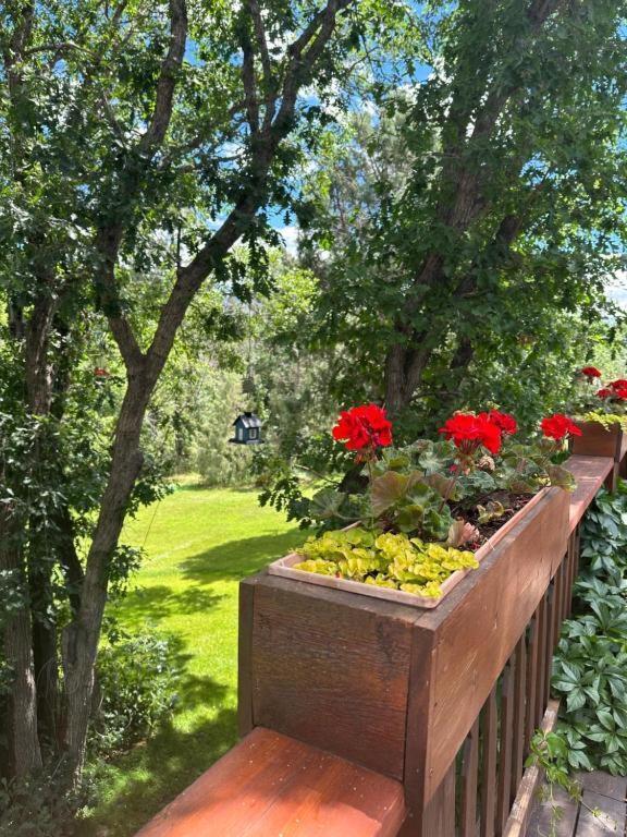 Country Sunshine Bed And Breakfast Hermosa エクステリア 写真