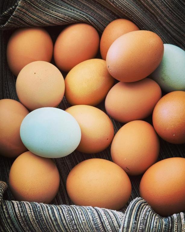 Country Sunshine Bed And Breakfast Hermosa エクステリア 写真