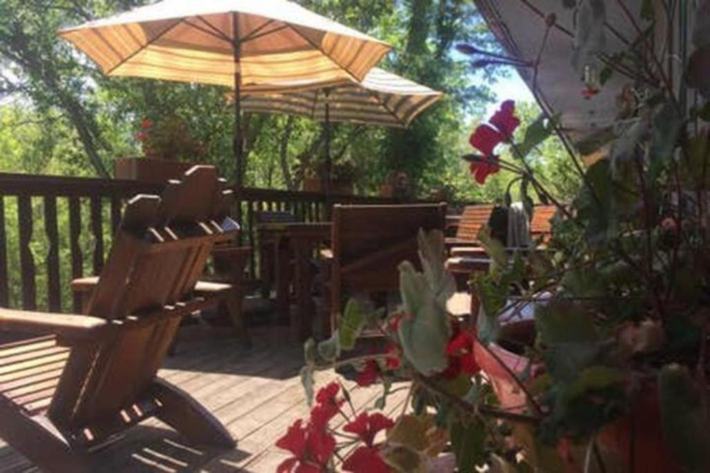 Country Sunshine Bed And Breakfast Hermosa エクステリア 写真